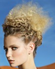 Updo for curly hair