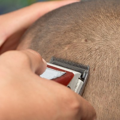 Shaving the head of a man